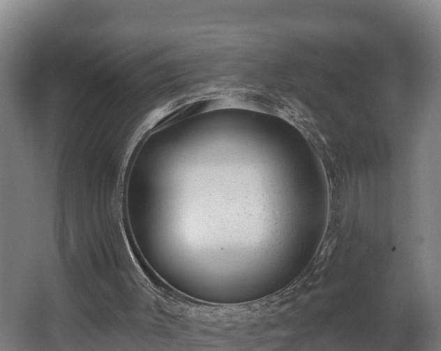 X0000068270003200604281603