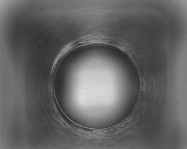 X0000068270004200604281603