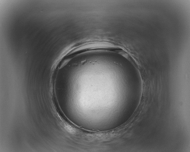 X0000068270005200604281603