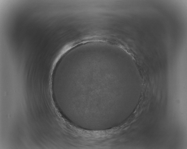 X0000068270006200604281603