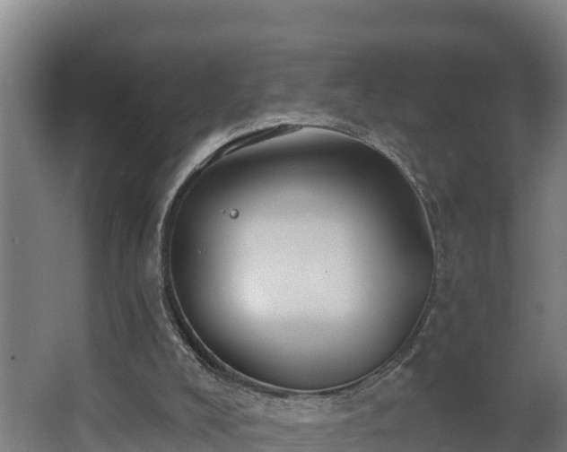 X0000068270008200604281603