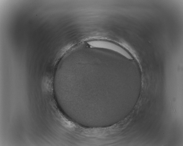 X0000068270009200604281603