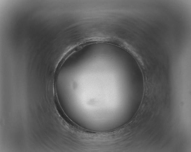 X0000068270011200604281603