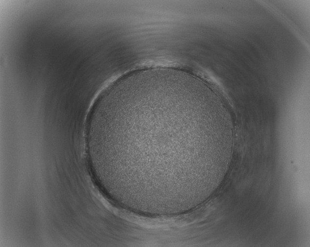 X0000068270012200604281603