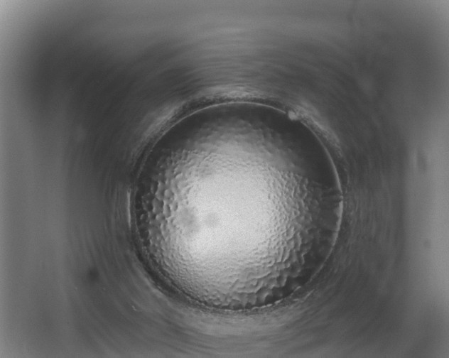 X0000068270014200604281603