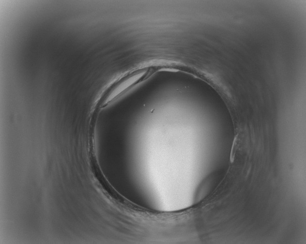 X0000068270015200604281603