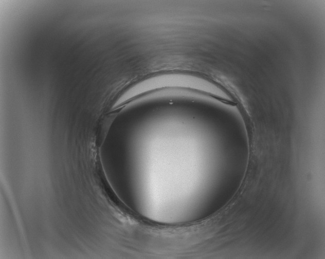 X0000068270017200604281603