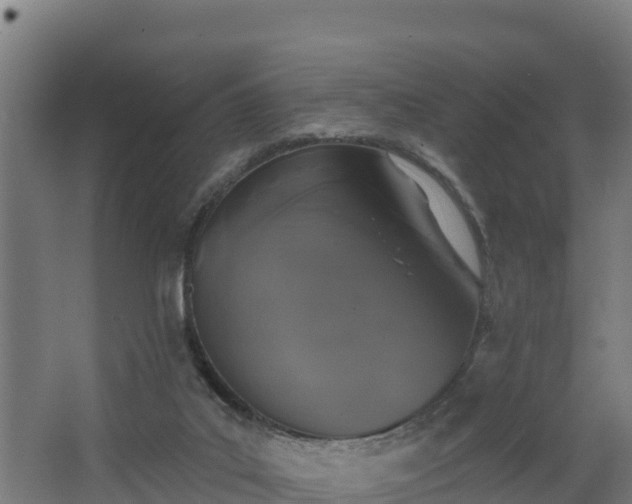 X0000068270019200604281603