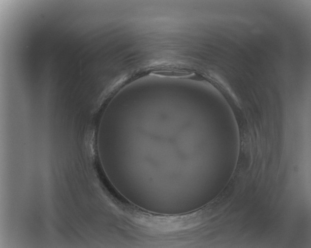 X0000068270023200604281603