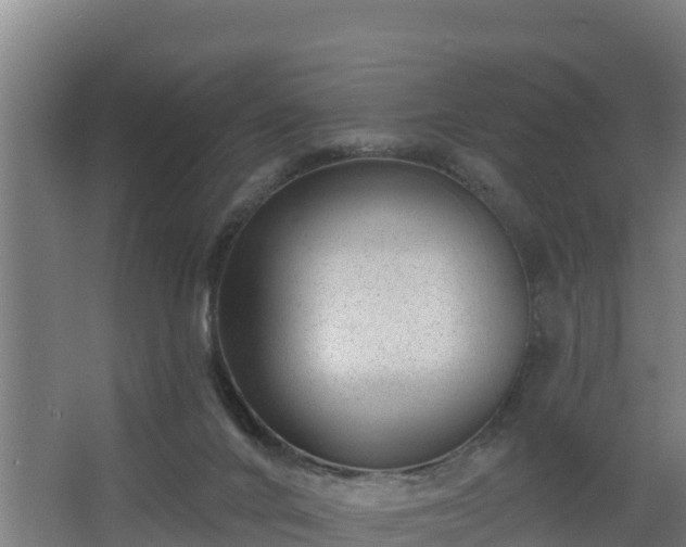 X0000068270024200604281603