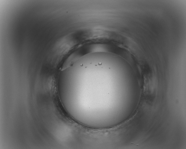 X0000068270029200604281603