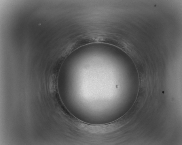 X0000068270030200604281603