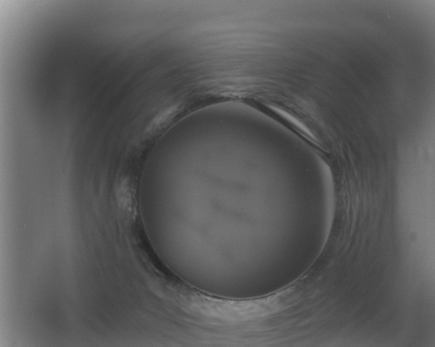 X0000068270031200604281603