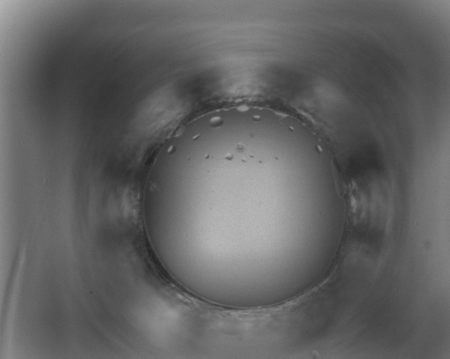 X0000068270033200604281603