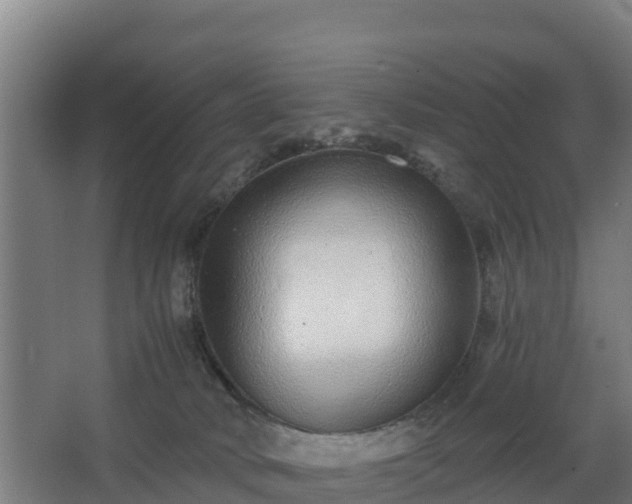 X0000068270034200604281603