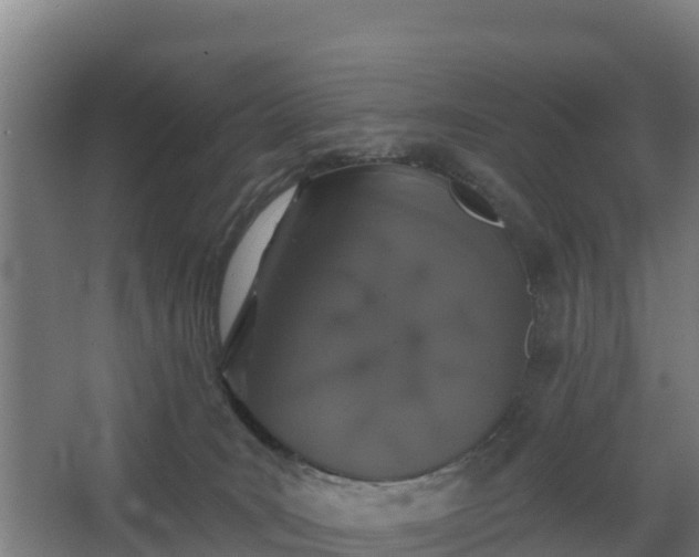 X0000068270035200604281603