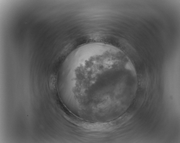 X0000068270036200604281603