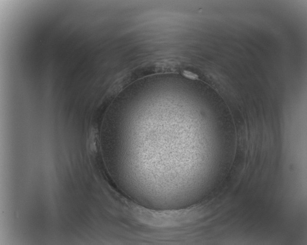 X0000068270038200604281603