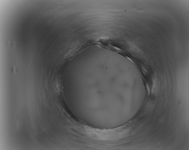 X0000068270039200604281603