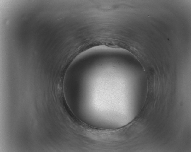 X0000068270040200604281603