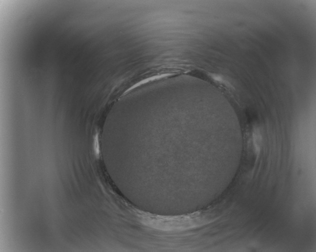 X0000068270042200604281603