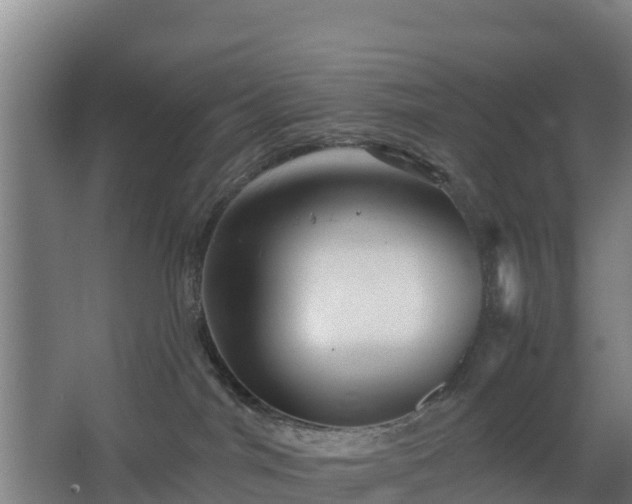 X0000068270044200604281603