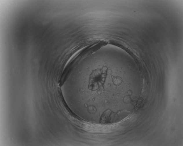 X0000068270048200604281603