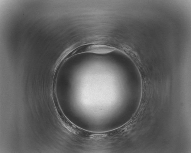 X0000068270051200604281602