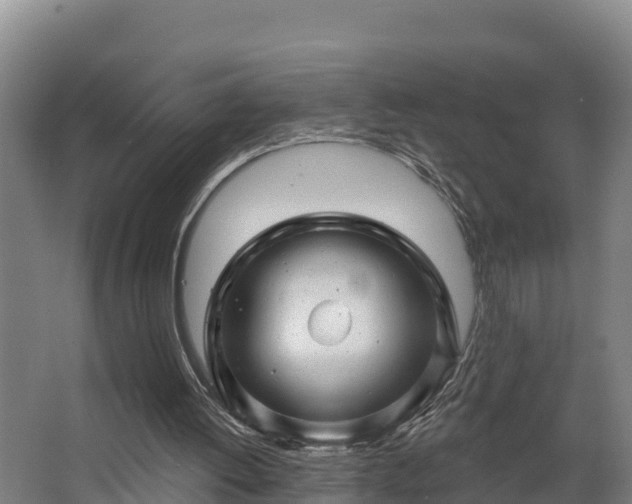 X0000068270052200604281602