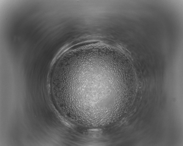 X0000068270053200604281602