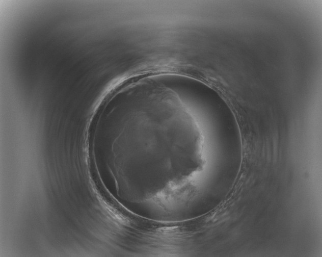 X0000068270054200604281602