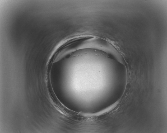 X0000068270056200604281602