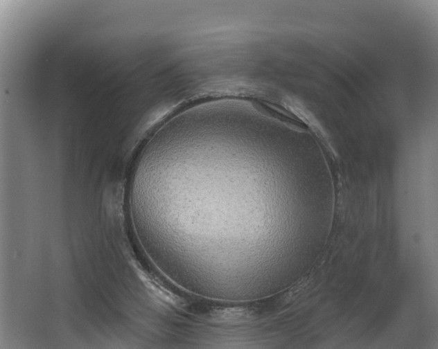 X0000068270058200604281602