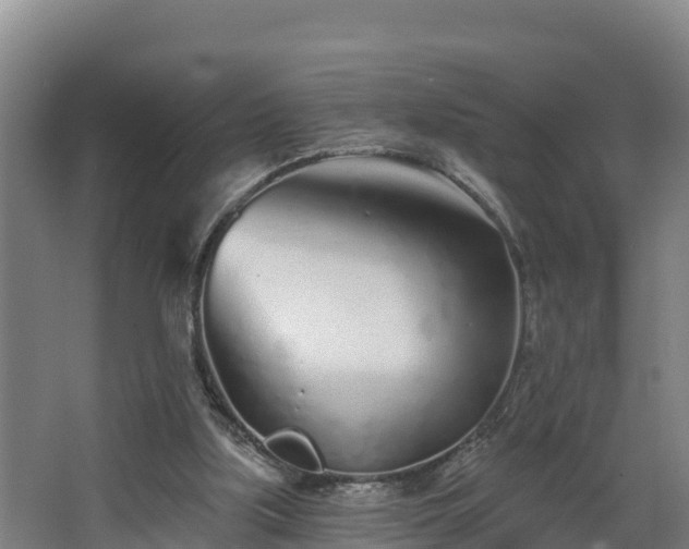 X0000068270059200604281602