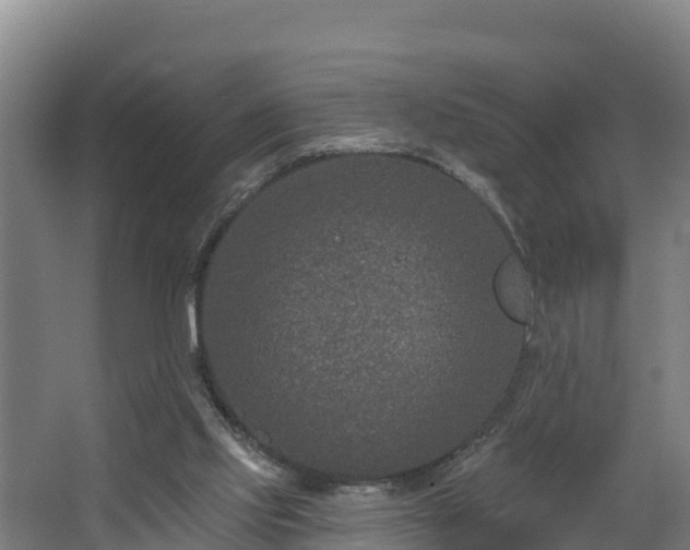 X0000068270061200604281602