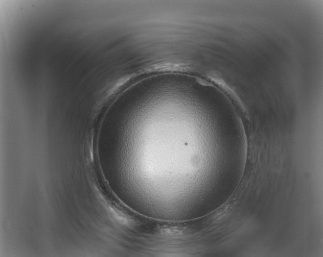 X0000068270062200604281602