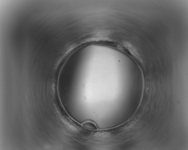 X0000068270063200604281602