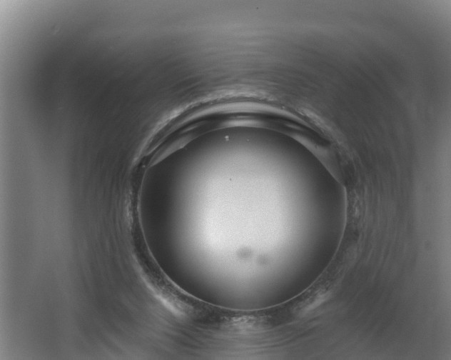 X0000068270064200604281602