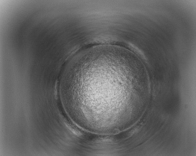 X0000068270065200604281602