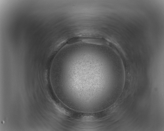 X0000068270066200604281602