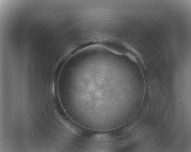 X0000068270067200604281602