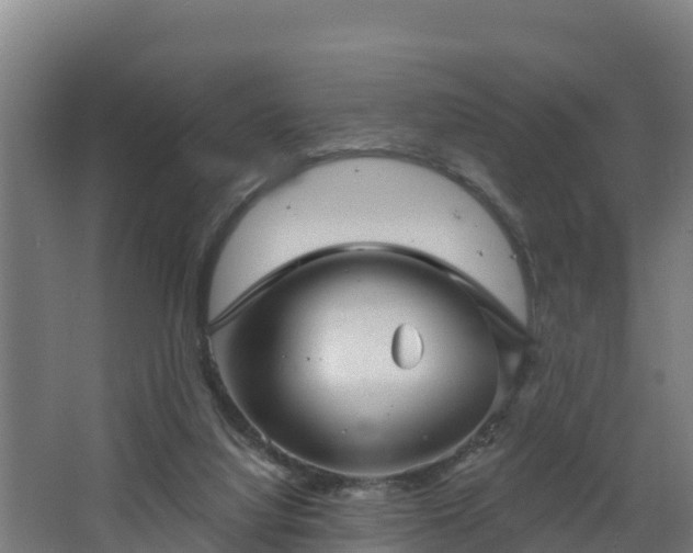 X0000068270068200604281602