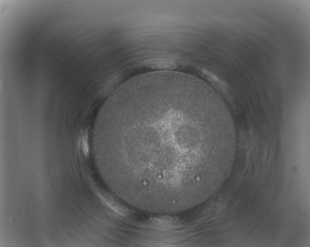 X0000068270069200604281602