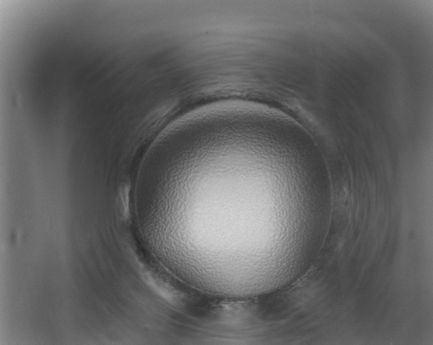 X0000068270070200604281602