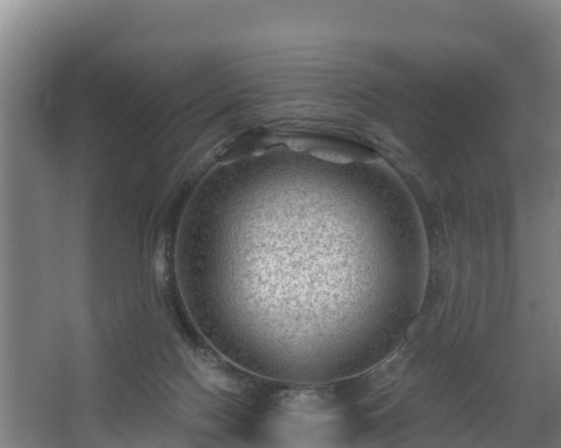 X0000068270074200604281602