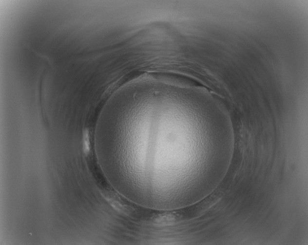 X0000068270075200604281602