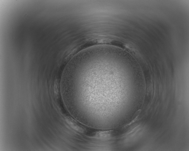 X0000068270078200604281602