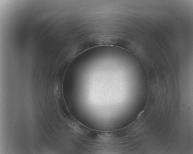 X0000068270079200604281602