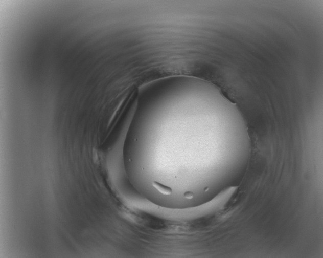 X0000068270080200604281602