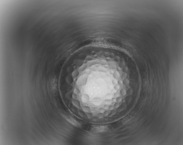 X0000068270081200604281602